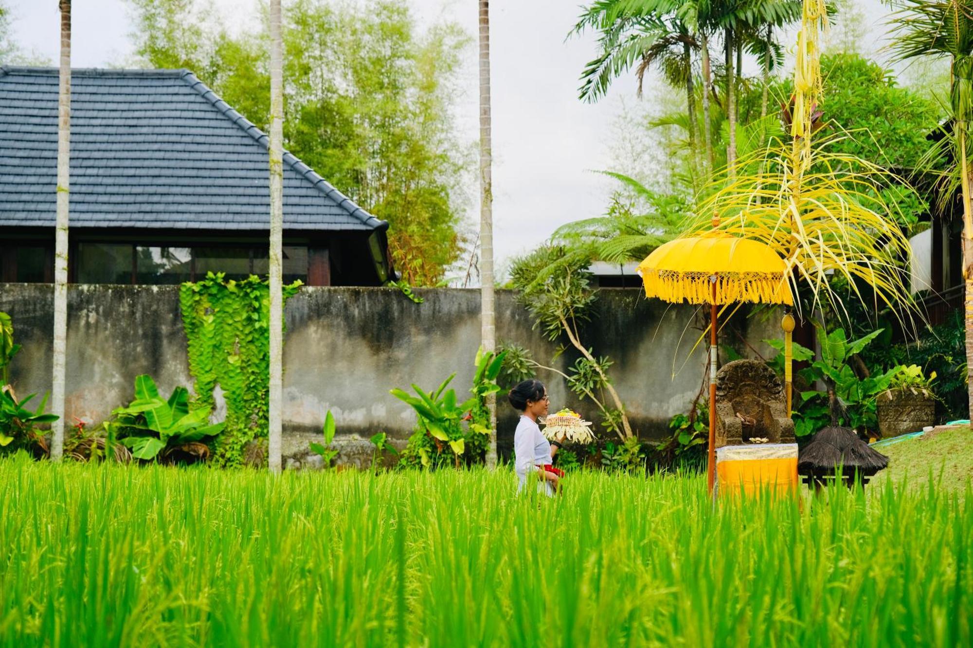 Wana Karsa The Villas Ubud ภายนอก รูปภาพ